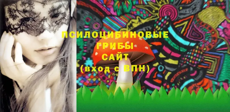 Галлюциногенные грибы Psilocybe  Слюдянка 